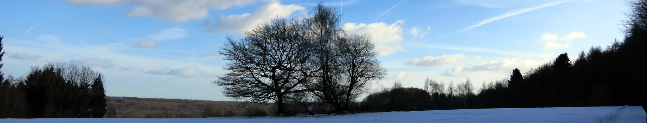 Wir in Welschneudorf