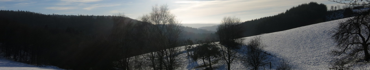Wir in Welschneudorf